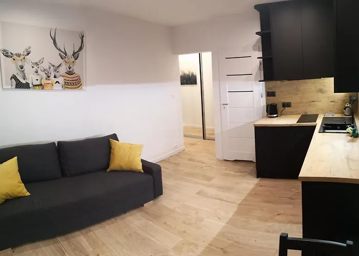 Apartament Izerski Raj